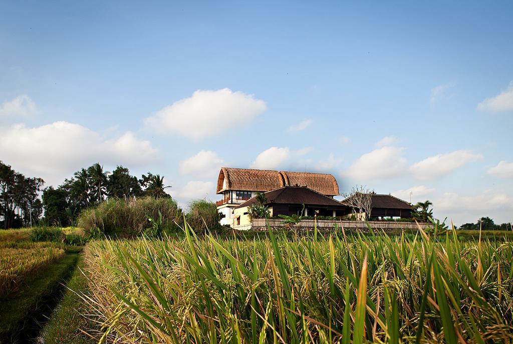 Kubu Kedungu Villas Танах Лот Экстерьер фото